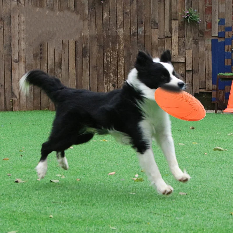 Silicone Flying Saucer Toy for Dogs & Cats – Chew-Resistant Frisbee